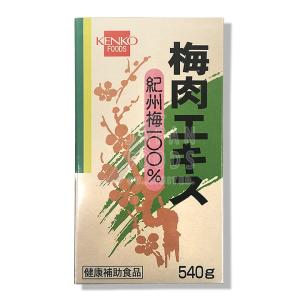 弊社専売品 梅肉エキス 紀州梅100％ 540g 送料無料（健康フーズ）｜jf-foods