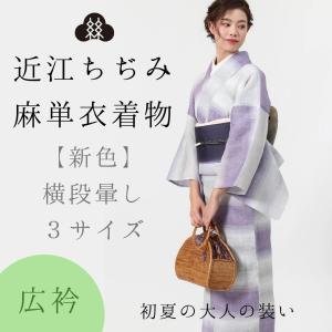 近江ちぢみ使用麻単衣着物 (広衿) 　松村糸店 着物 普段着着物