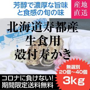 北海道より期間限定８月11日発送分まで在庫限り 送料無料 殻付寿かき 3kg 生食 生牡蠣 訳あり 通販 お取り寄せ