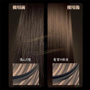 ドライヤー ヘアドライヤー 高級 速乾 美髪 ...の詳細画像2