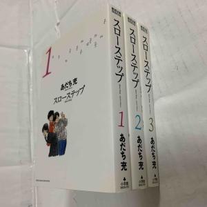 皇国の守護者 コミック 全5巻 完結セット (ヤングジャンプ