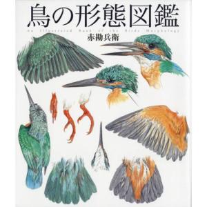 ボタニカム ようこそ、植物の博物館へ : トシゲイト10 - 通販 - Yahoo