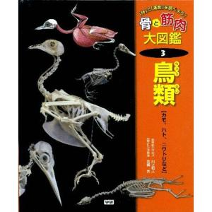 タヌキまるごと図鑑 (子ども科学図書館) : トシゲイト10 - 通販