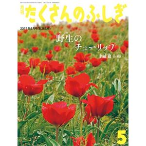 野生のチューリップ (月刊たくさんのふしぎ2017年5月号)｜jiasp5