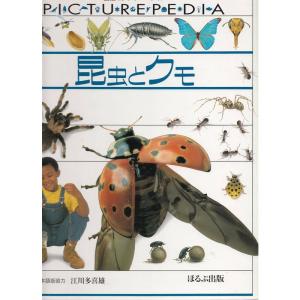 図鑑ピクチャーペディア (〔12〕)の商品画像