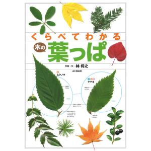 クリニカル・クエスチョンで考える外傷整形外科ケーススタディ
