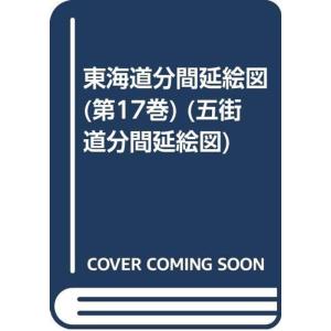 東海道分間延繪圖 第14巻 岡崎・大樹寺・六所・滝山・是字寺・知鯉鮒
