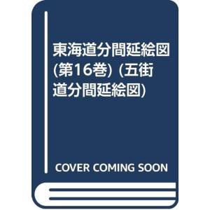 東海道分間延繪圖 第16巻 桑名 (五街道分間延絵図)｜jiasp5