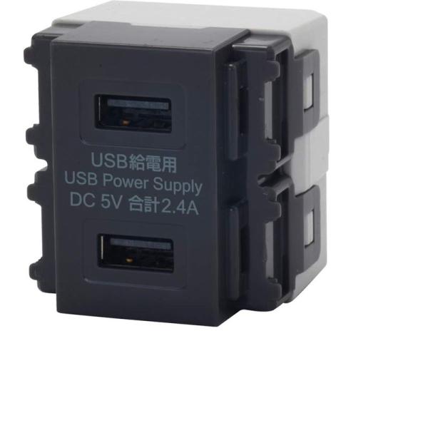 JAPPY USB給電用コンセント USB-R3701DG-JP