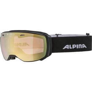 アルピナ スキースノーボードゴーグル ユニセックス コンパクトタイプ 偏光調光ミラーレンズ メガネ使用可 ESTETICA QV｜jiatentusa
