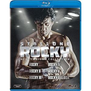 DVD ニーベルンゲン　クリティカル・エディション　フリッツ・ラング　2枚組 ニーベルンゲン (フリッツ・ラング コレクションクリティカル