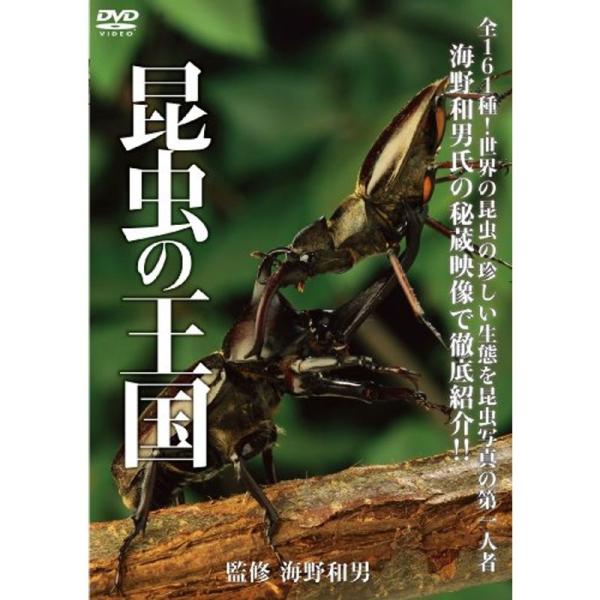 昆虫の王国 DVD