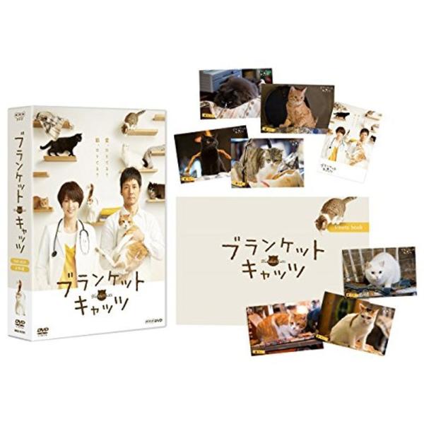 ブランケット・キャッツ DVD-BOX