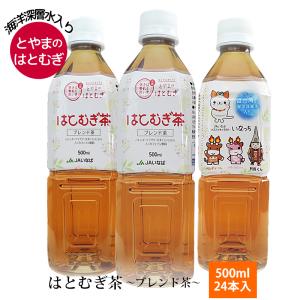 バレンタイン 富山 はとむぎ茶500ml 24本入 産地直送  JAいなば 海洋深層水入