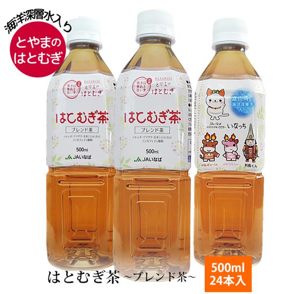 富山 はとむぎ茶 24本入 500ml 海洋深層水入 ノンカフェイン 富山県産はとむぎ使用 ブレンド...