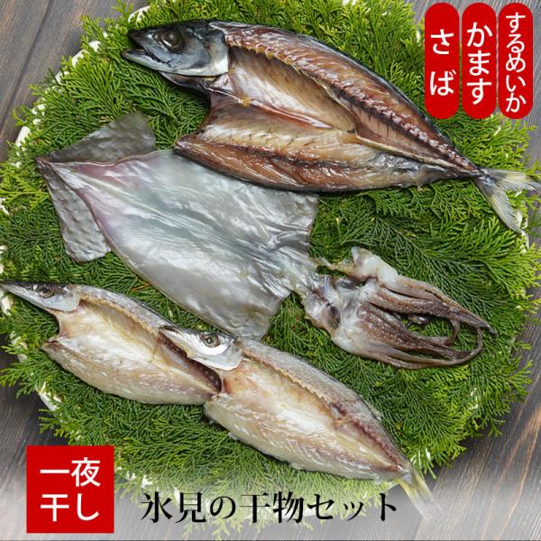 贈答 ギフト 氷見の干物 セット2 (一夜干し) 冷凍便 メーカー直送 さば  かます するめいか ...