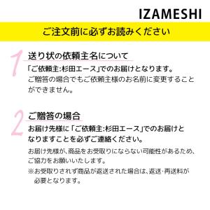 保存食 非常食 IZAMESHI 煮込みハンバ...の詳細画像1