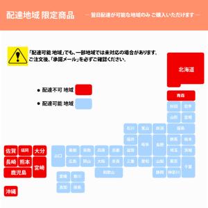 お歳暮 ギフト 富山 特撰 ますの寿し 2段 ...の詳細画像3