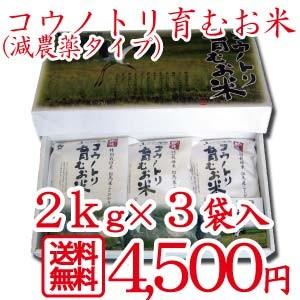 新米 令和3年産 食べる健康！食べる貢献！コウノトリ育むお米減農薬 無化学贈答用 2kg×3袋セット 贈答 ギフト コシヒカリ