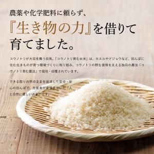 令和7年産 減農薬 コウノトリ育むお米5kg ...の詳細画像2