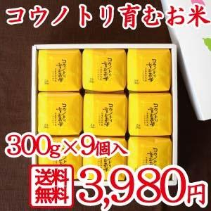 幸せを運ぶ鳥 コウノトリ 食べる健康！食べる貢献！ コウノトリ育むお米 減農薬 無化学かわいい キューブ300ｇ×9個セット 贈答 ギフト｜jigomeya