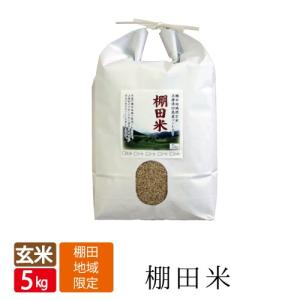 令和6年産 送料無料 玄米 5kg みかた 棚田米  コシヒカリ  天空の城 こうのとりで有名な 西日本 兵庫県 但馬産  食味 ランキング 特A   玄米カイロ