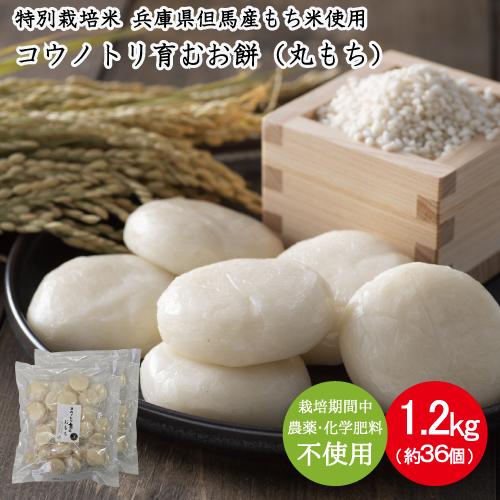 コウノトリ育むお米 丸もち (無農薬) 個包装 1.2kg 約18個入×２袋 無農薬 兵庫県但馬産 ...