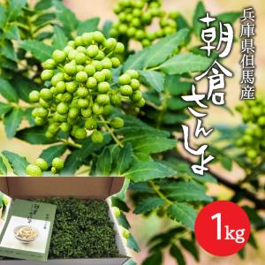 冷凍 朝倉さんしょ 3kg 実山椒 山椒の実 : たじまんま 地米屋 - 通販