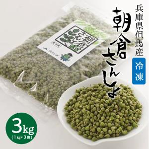 予約5月下旬発送】生 大粒 朝倉さんしょ（冷蔵）500g ＊5月下旬より