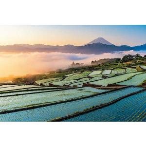 あだち充 画業55周年 ジグソーパズル500ピース 浅倉南 ジグソーのみ