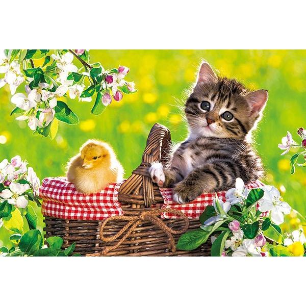 ジグソーパズル 88ピース ピヨちゃんとピクニック    APP-88-106