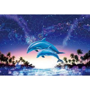 ジグソーパズル 1000ピース スターリー オーシャン  〜黄道十二星座〜   マリア BEV-81...