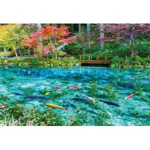 ジグソーパズル 300ピース 色彩輝くモネの池   国内風景 BEV-300-025｜ジグソークラブ