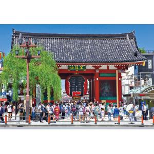 ジグソーパズル 300ピース 東京浅草雷門  ［CP-JS］  BEV-300-079