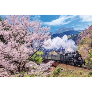 ジグソーパズル 1000ピース 大井川鐡道と桜  ［CP-JS］  BEV-1000-137