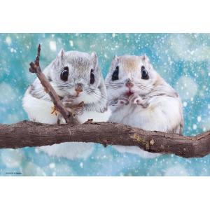 300ピース もちふわエゾモモンガの買取情報