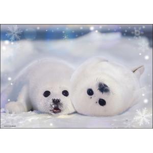 アザラシ幼稚園 300ピースパズルの買取情報