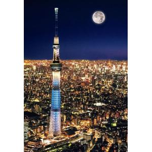 ジグソーパズル 300ピース 東京スカイツリー ナイトビュー  ［CP-JS］  BEV-93-14...