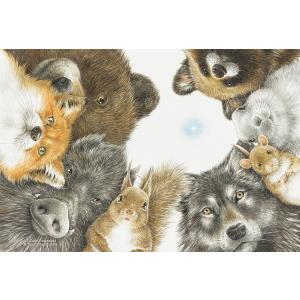 ジグソーパズル 300ピース ほしをさがしに   しもかわらゆみ CUT-300-096