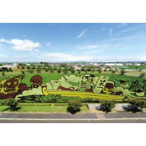ジグソーパズル 300ピース 田んぼアート 田舎館村2017年 桃太郎（全体像）  ［CP-JS］ ...