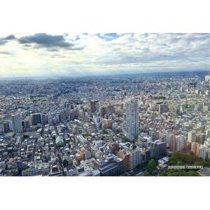 ジグソーパズル 300ピース 東京都新宿区「西新宿方面」  ［CP-JS］  CUT-300-319