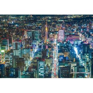 ジグソーパズル 300ピース 愛知県名古屋市「中区栄方面夜景」  ［CP-JS］  CUT-300-...