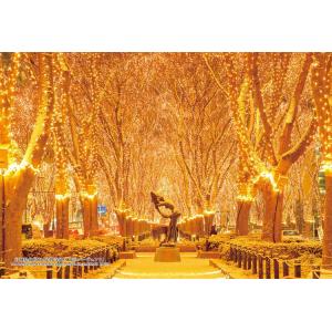 ジグソーパズル 300ピース 宮城県仙台市「定禅寺通り 光のページェント」  ［CP-JS］  CU...