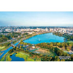 ジグソーパズル 300ピース 茨城県水戸市「千波湖空撮」  ［CP-JS］  CUT-300-405