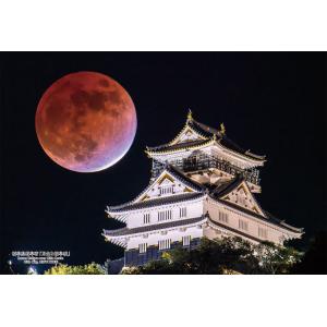ジグソーパズル 300ピース 岐阜県岐阜市「月食と岐阜城」  ［CP-JS］  CUT-300-41...