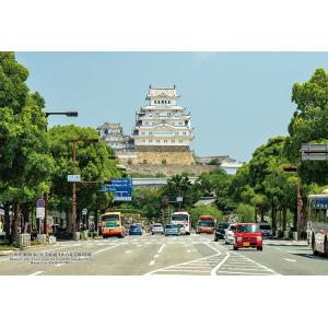 ジグソーパズル 300ピース 兵庫県姫路市「大手前通りから見る姫路城」  ［CP-JS］  CUT-...