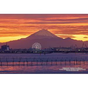 ジグソーパズル 300ピース 千葉県船橋市「三番瀬からみる富士山」  ［CP-JS］  CUT-30...