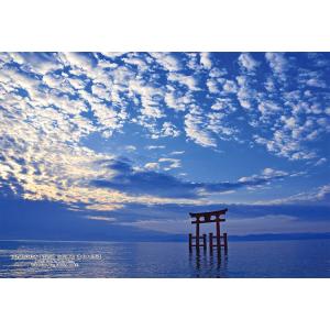 エポック社（EPOCH） ジグソーパズル 500ピース 横浜夜景と絢爛花火