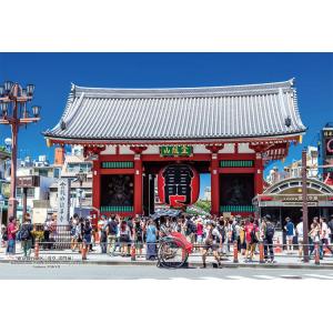 ジグソーパズル 300ピース 東京都台東区「浅草 雷門前」  ［CP-JS］  CUT-300-44...