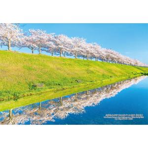 ジグソーパズル 300ピース 兵庫県小野市「おの桜づつみ回廊 逆さ桜」  ［CP-JS］  CUT-...